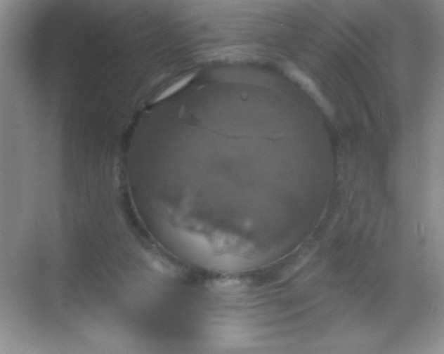 X0000068840161200605191934