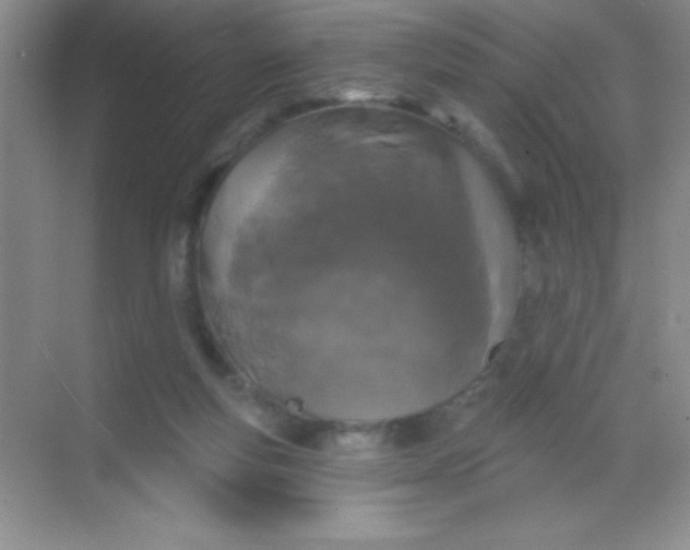 X0000068840163200605191934