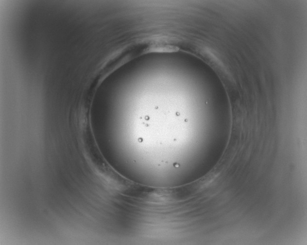 X0000068840164200605191935