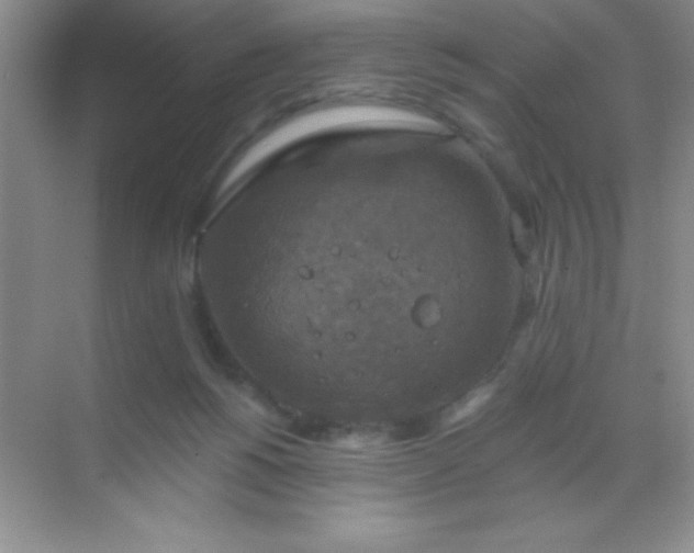 X0000068840168200605191935