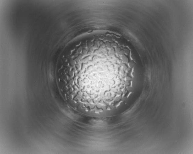 X0000068840170200605191935