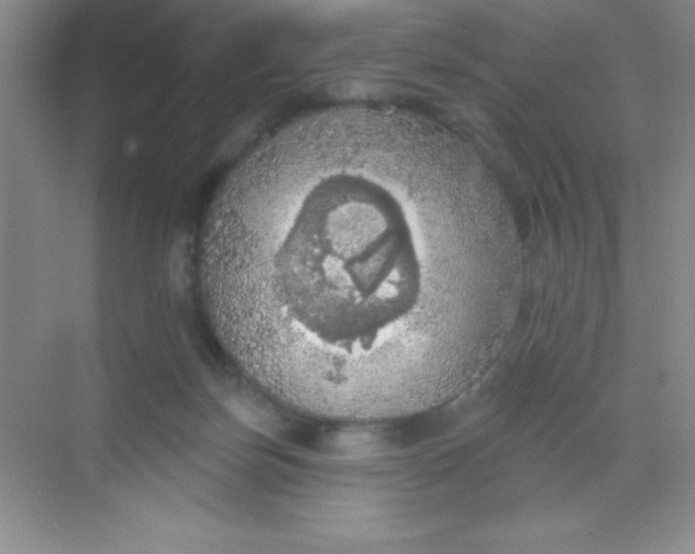 X0000068840171200605191935