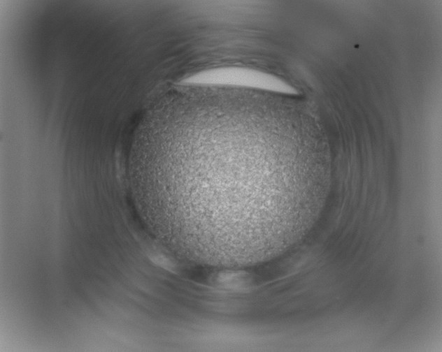 X0000068840173200605191935