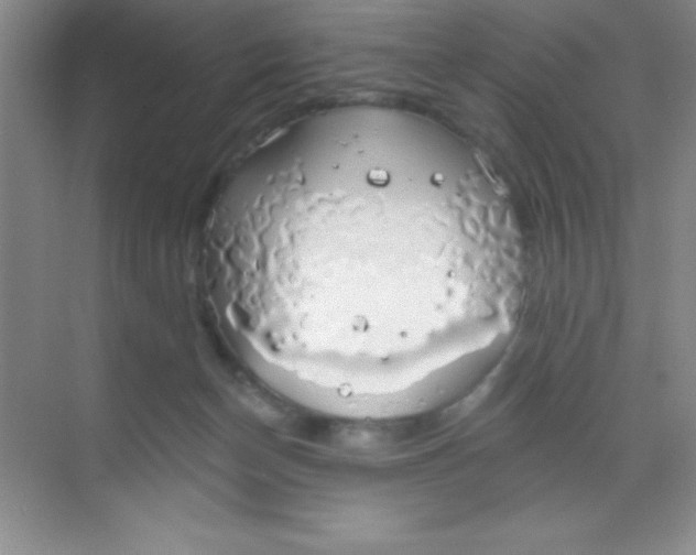 X0000068840174200605191935