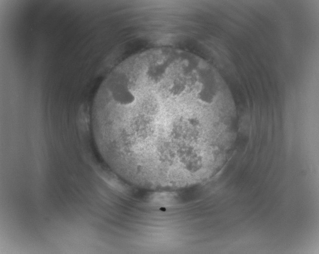 X0000068840179200605191935