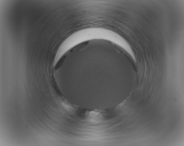 X0000068840180200605191935