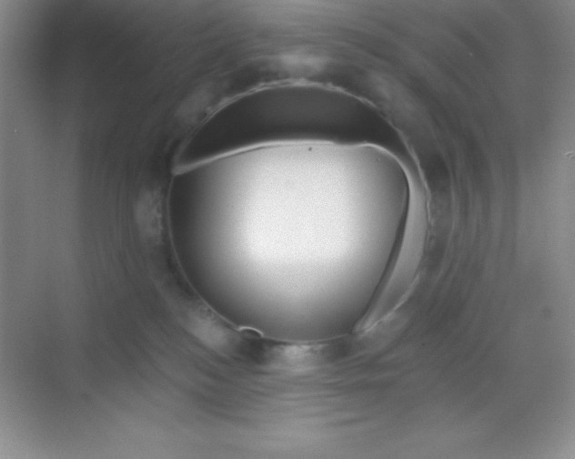 X0000068840184200605191935