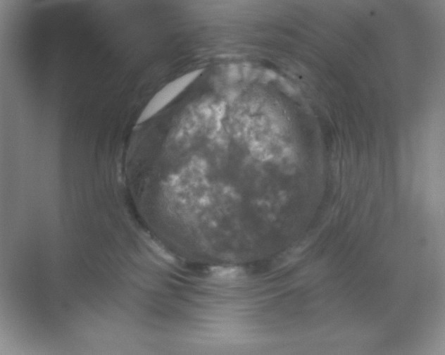 X0000068840185200605191935