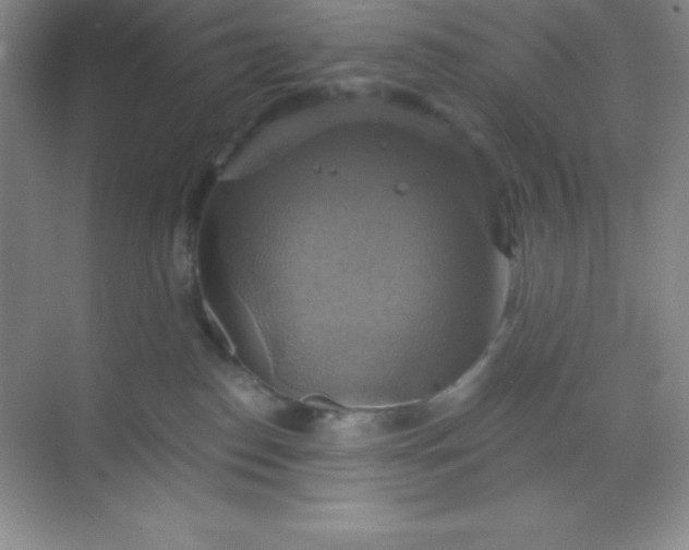 X0000068840186200605191935