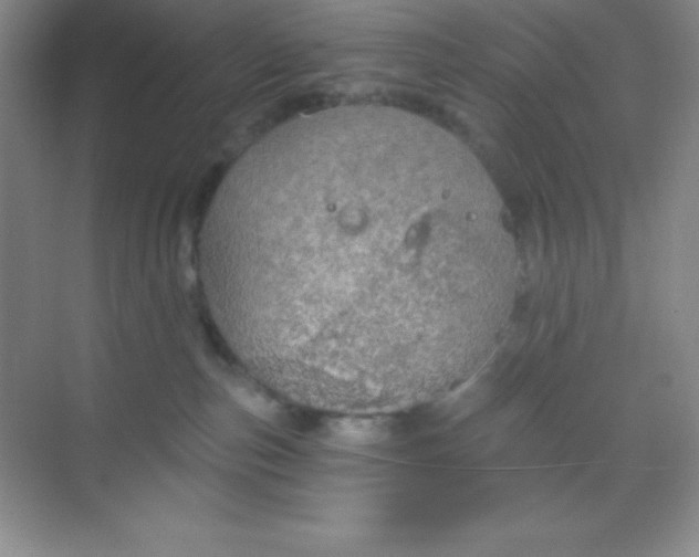 X0000068840187200605191935