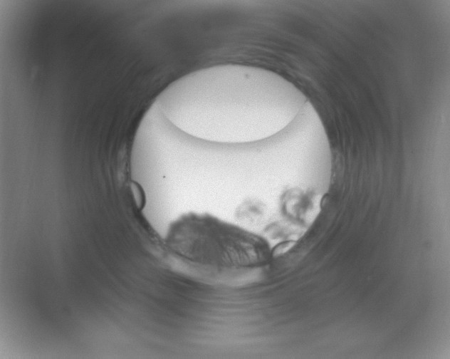 X0000068840189200605191935