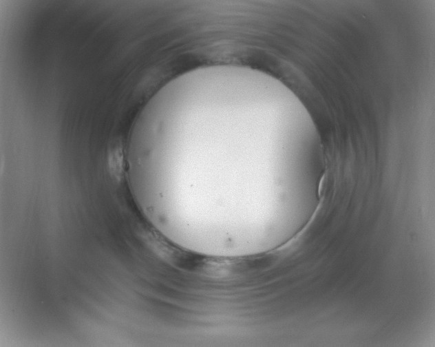 X0000068840190200605191935