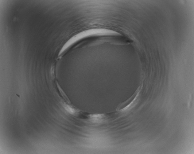 X0000068840192200605191935