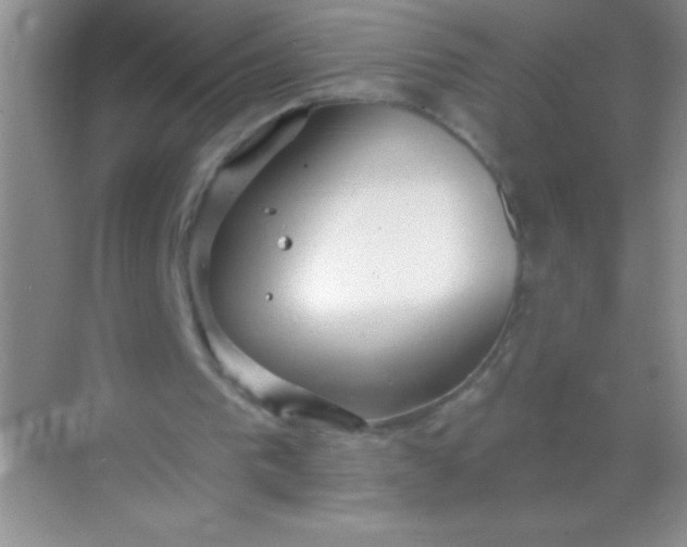 X0000068840193200605191934