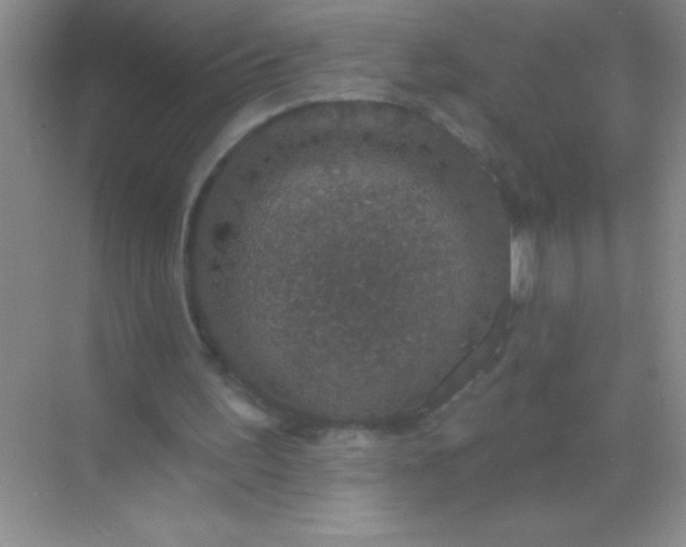 X0000068840195200605191934