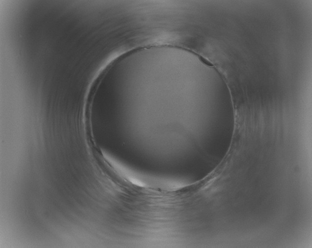 X0000068840196200605191934