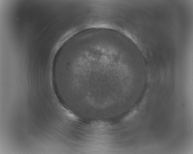 X0000068840199200605191934