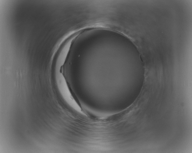 X0000068840200200605191934