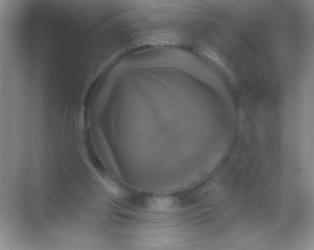 X0000068840202200605191934