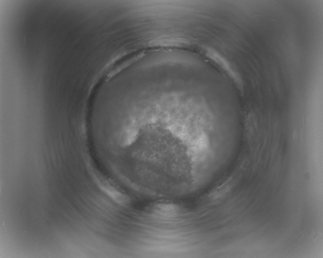 X0000068840203200605191934