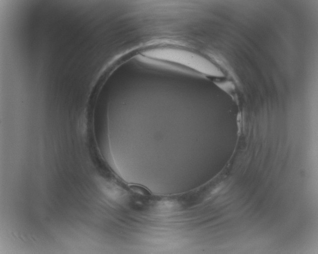 X0000068840204200605191934