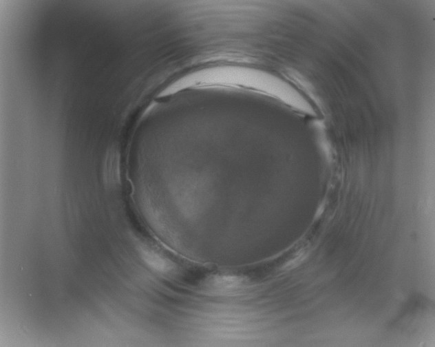 X0000068840205200605191934