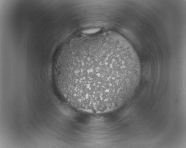 X0000068840206200605191934