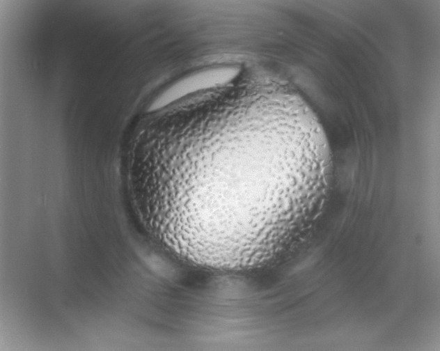 X0000068840207200605191934