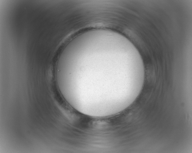 X0000068840208200605191934