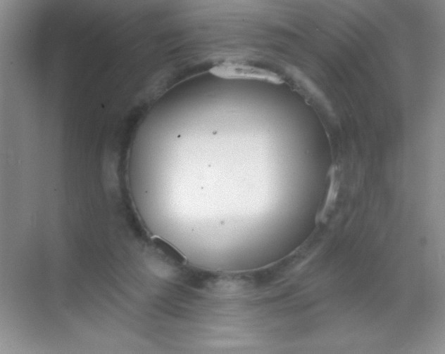 X0000068840209200605191934