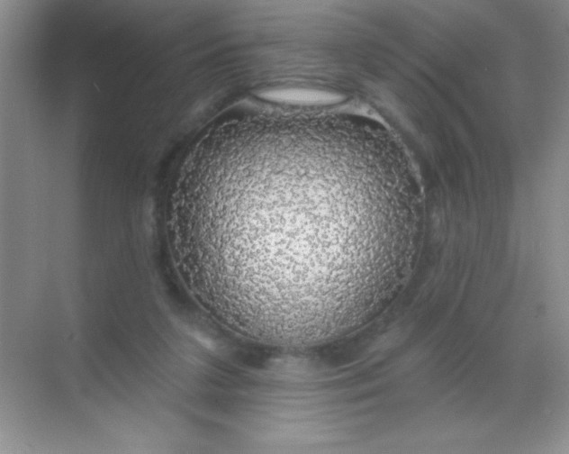 X0000068840211200605191934