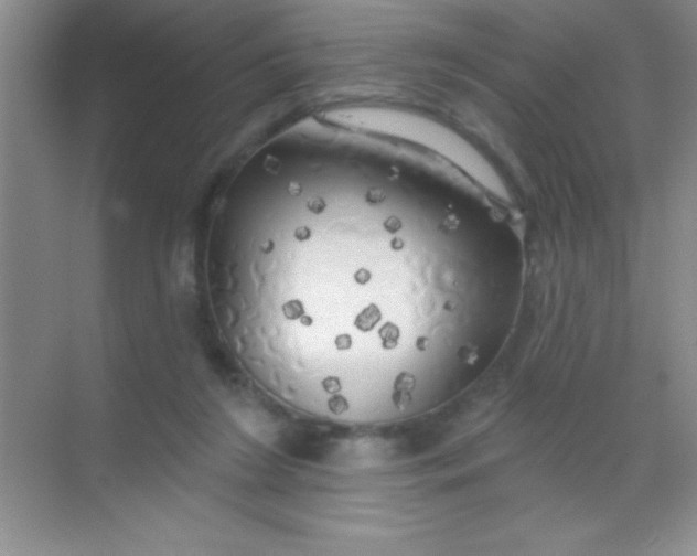 X0000068840212200605191934