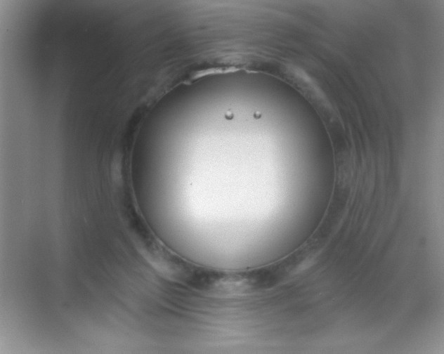 X0000068840213200605191934