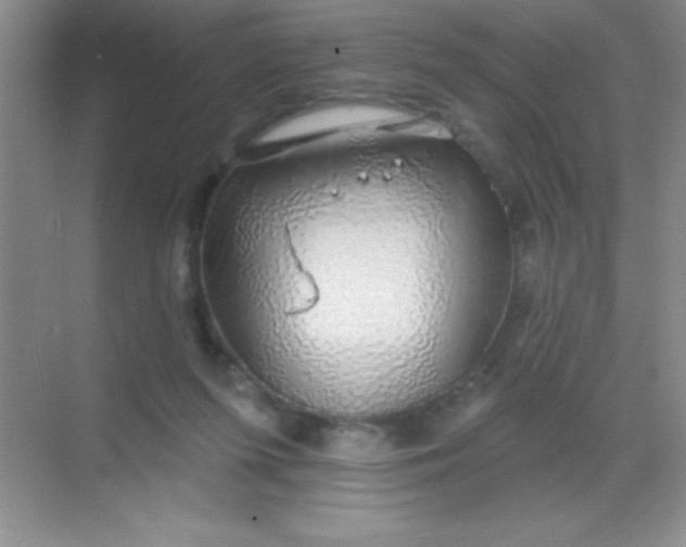 X0000068840215200605191934