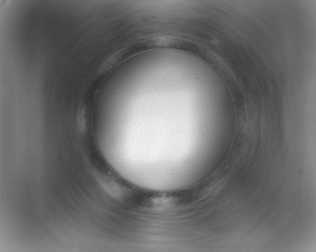 X0000068840216200605191934