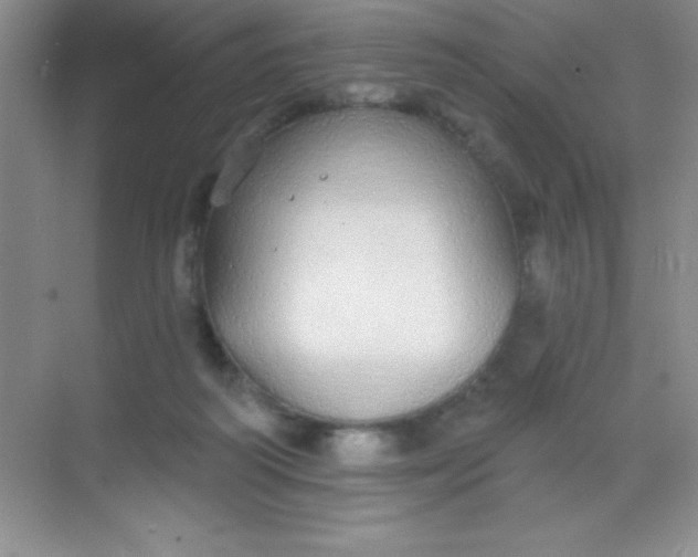 X0000068840218200605191934