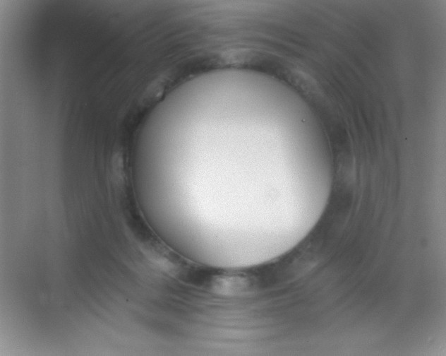 X0000068840220200605191934