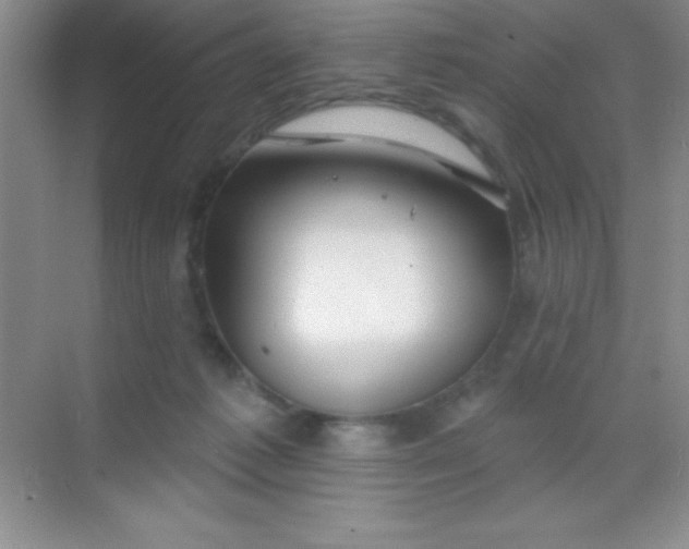 X0000068840221200605191934