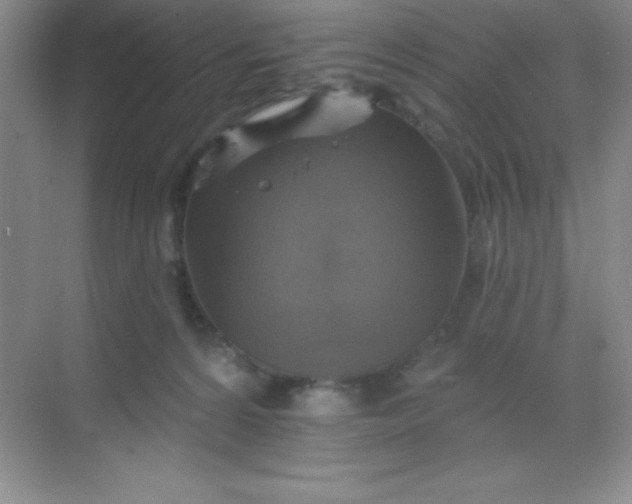 X0000068840224200605191934