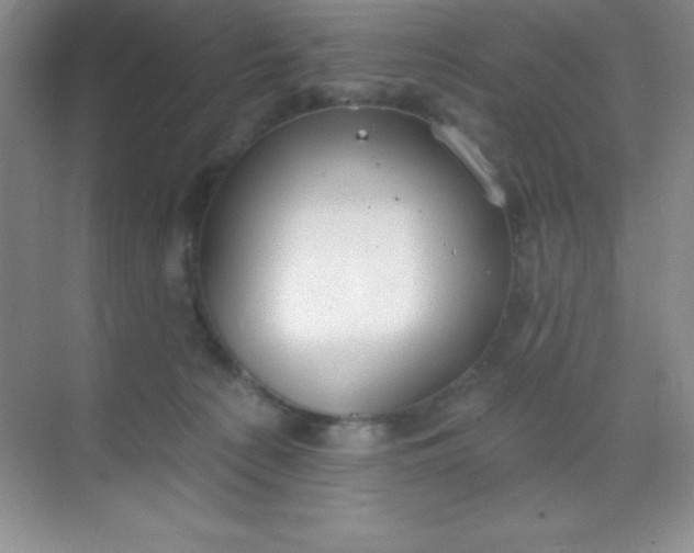 X0000068840225200605191934