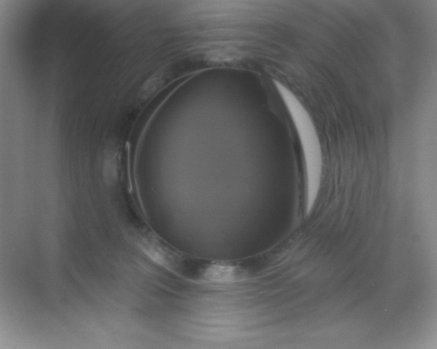 X0000068840227200605191934