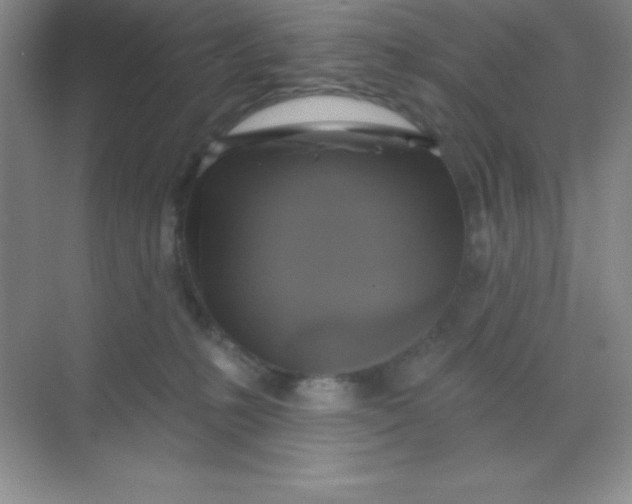 X0000068840231200605191934