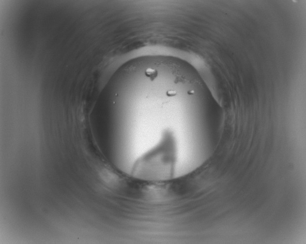 X0000068840232200605191934