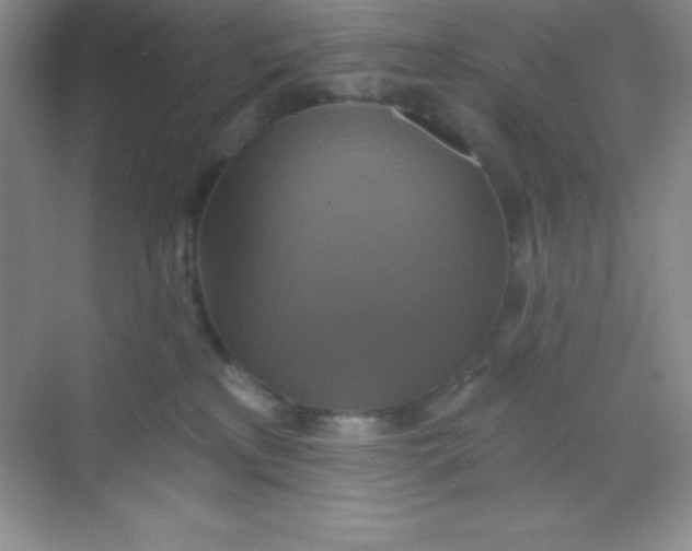 X0000068840233200605191933