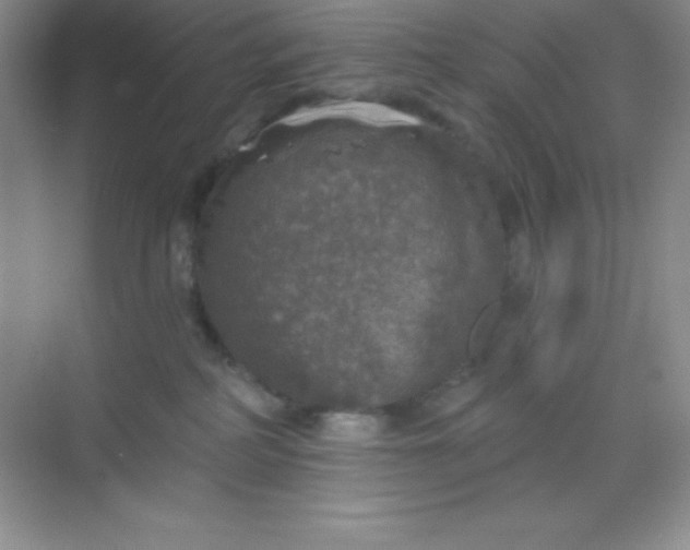 X0000068840234200605191933