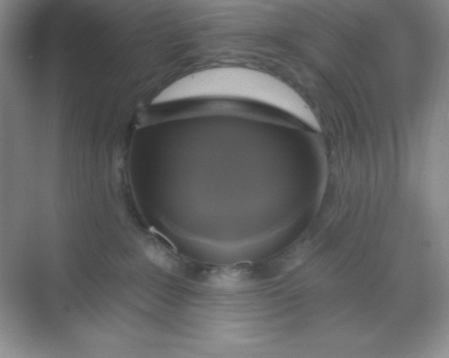 X0000068840235200605191933