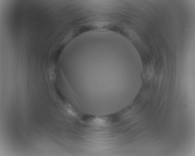 X0000068840236200605191933