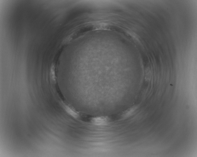 X0000068840238200605191933