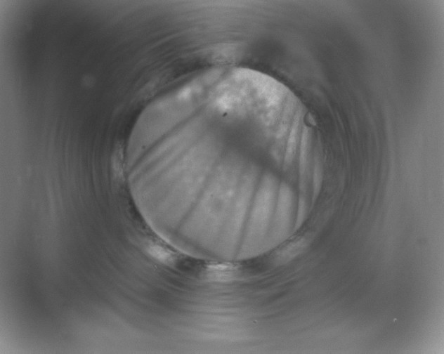 X0000068840240200605191933