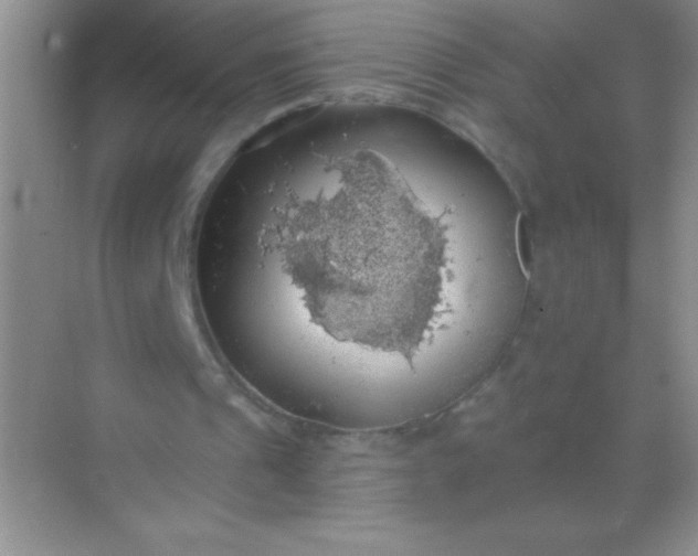 X0000068840241200605191933